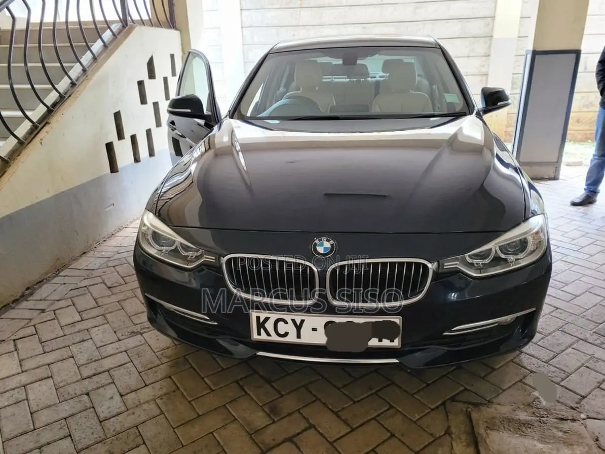 BMW 320i Sedan RWD 2013 Blue