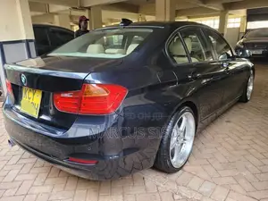 BMW 320i Sedan RWD 2013 Blue