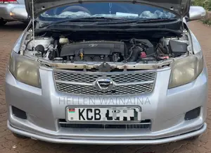 Toyota Corolla Fielder 2008 Silver