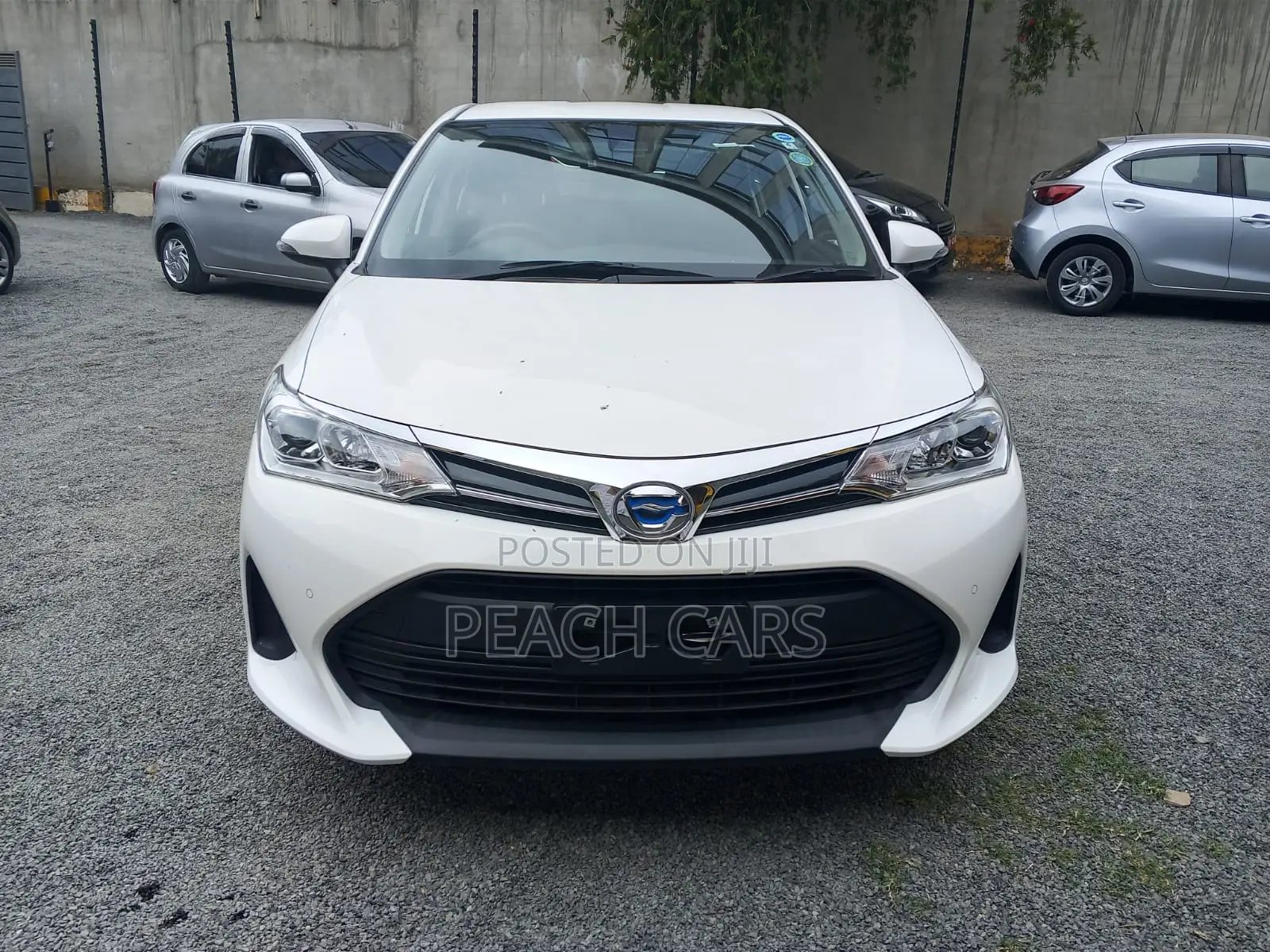 Toyota Axio 2020 White