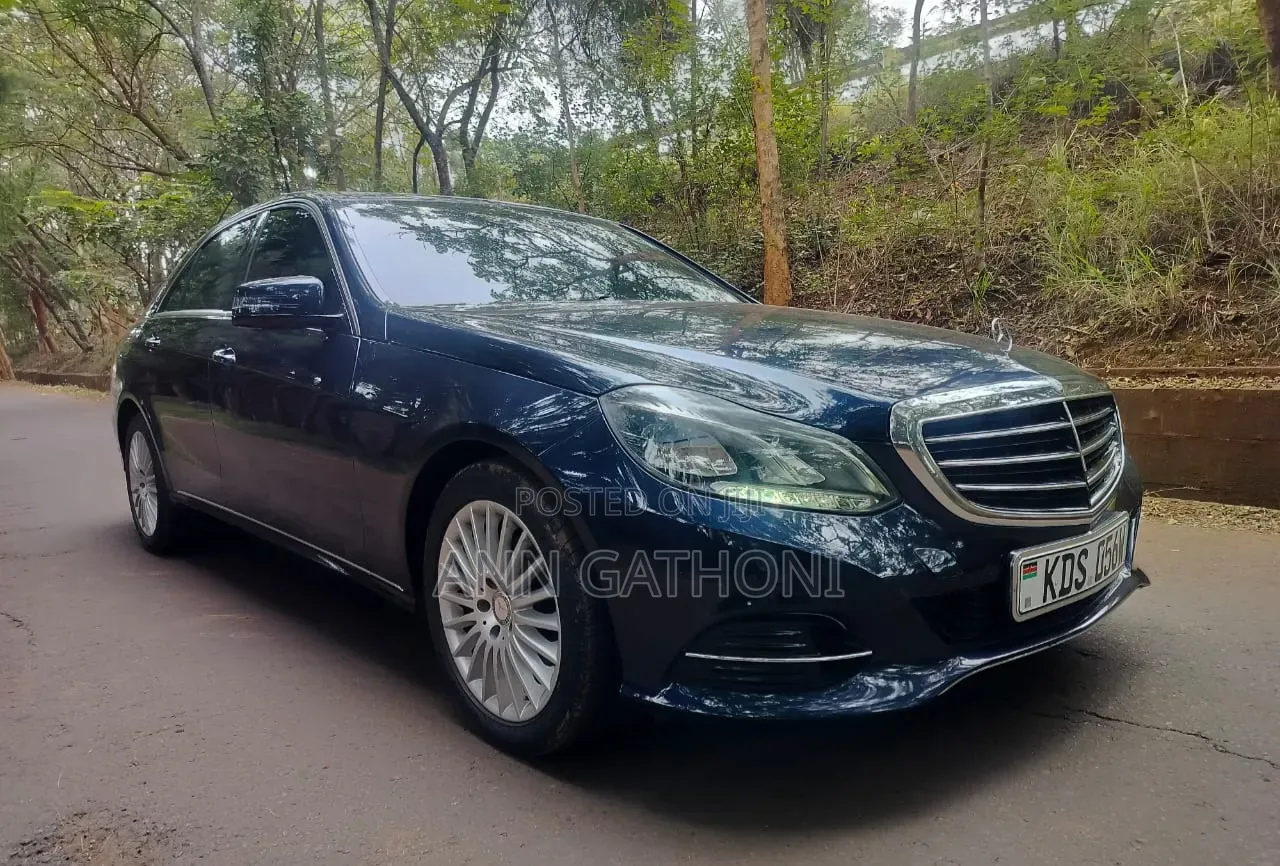 Mercedes-Benz E250 SV Premium 2014 Blue