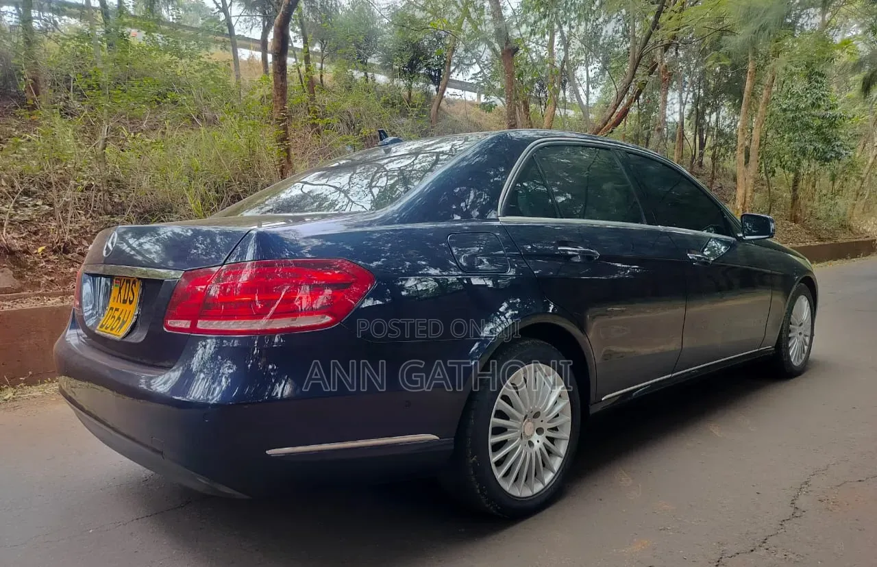 Mercedes-Benz E250 SV Premium 2014 Blue