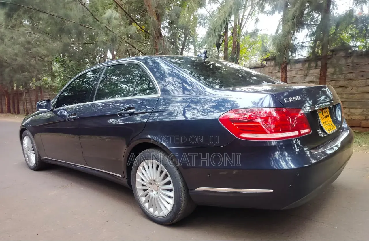 Mercedes-Benz E250 SV Premium 2014 Blue