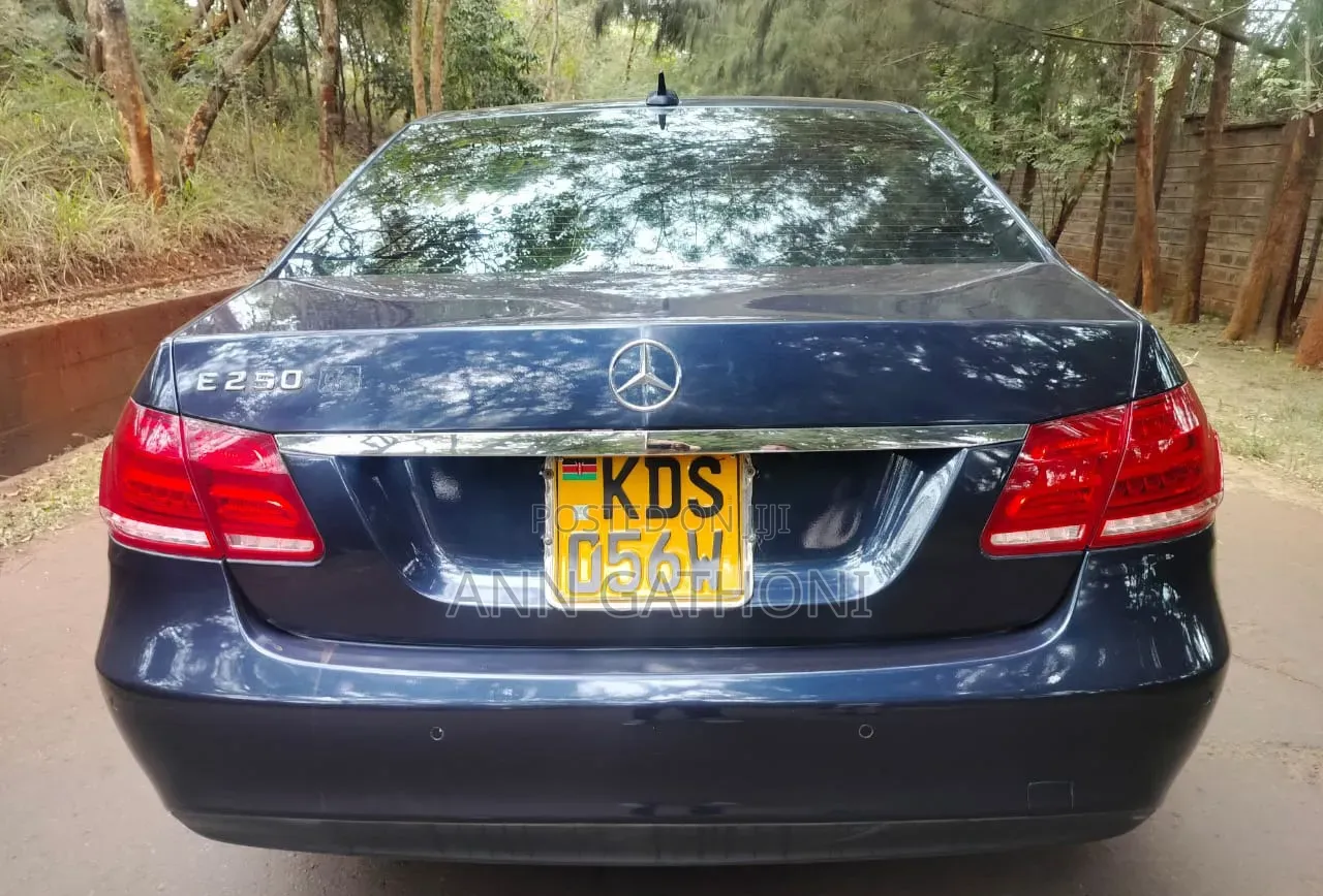 Mercedes-Benz E250 SV Premium 2014 Blue
