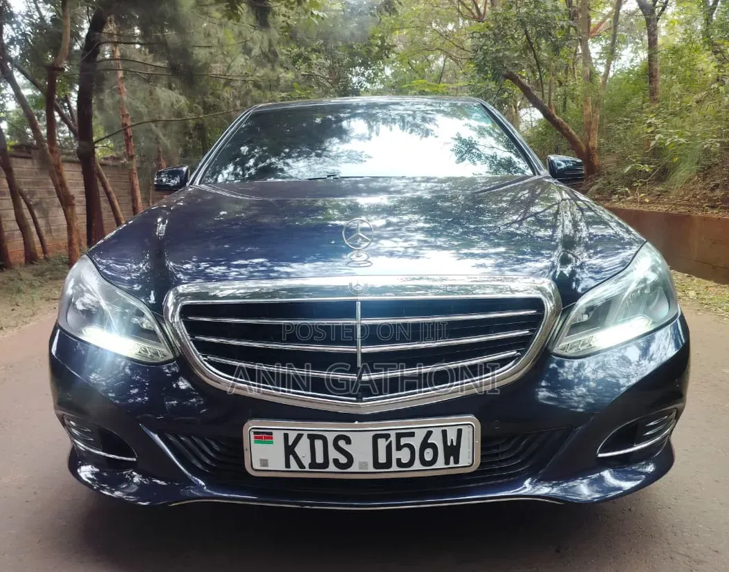 Mercedes-Benz E250 SV Premium 2014 Blue