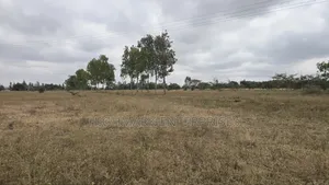 20 Acres for Sale in Acacia Kitengela