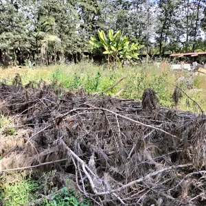 1/2 Acre Plot for Rent/Lease in Karen, Along Lang'ata South Road