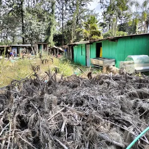 1/2 Acre Plot for Rent/Lease in Karen, Along Lang'ata South Road