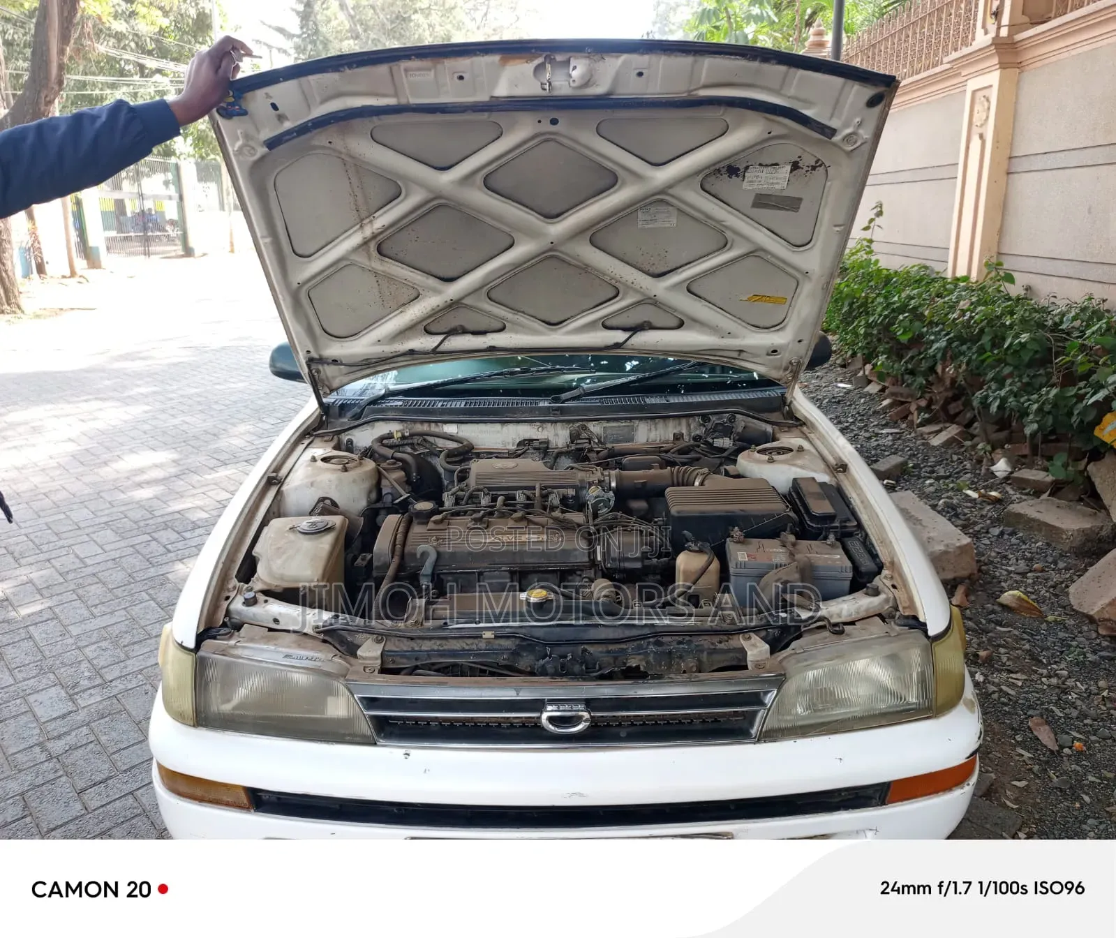 Toyota Corolla 1994 White