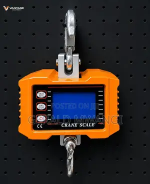 Crane Scale- 500kg
