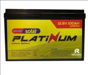 12.8V Platinum Lithium Battery