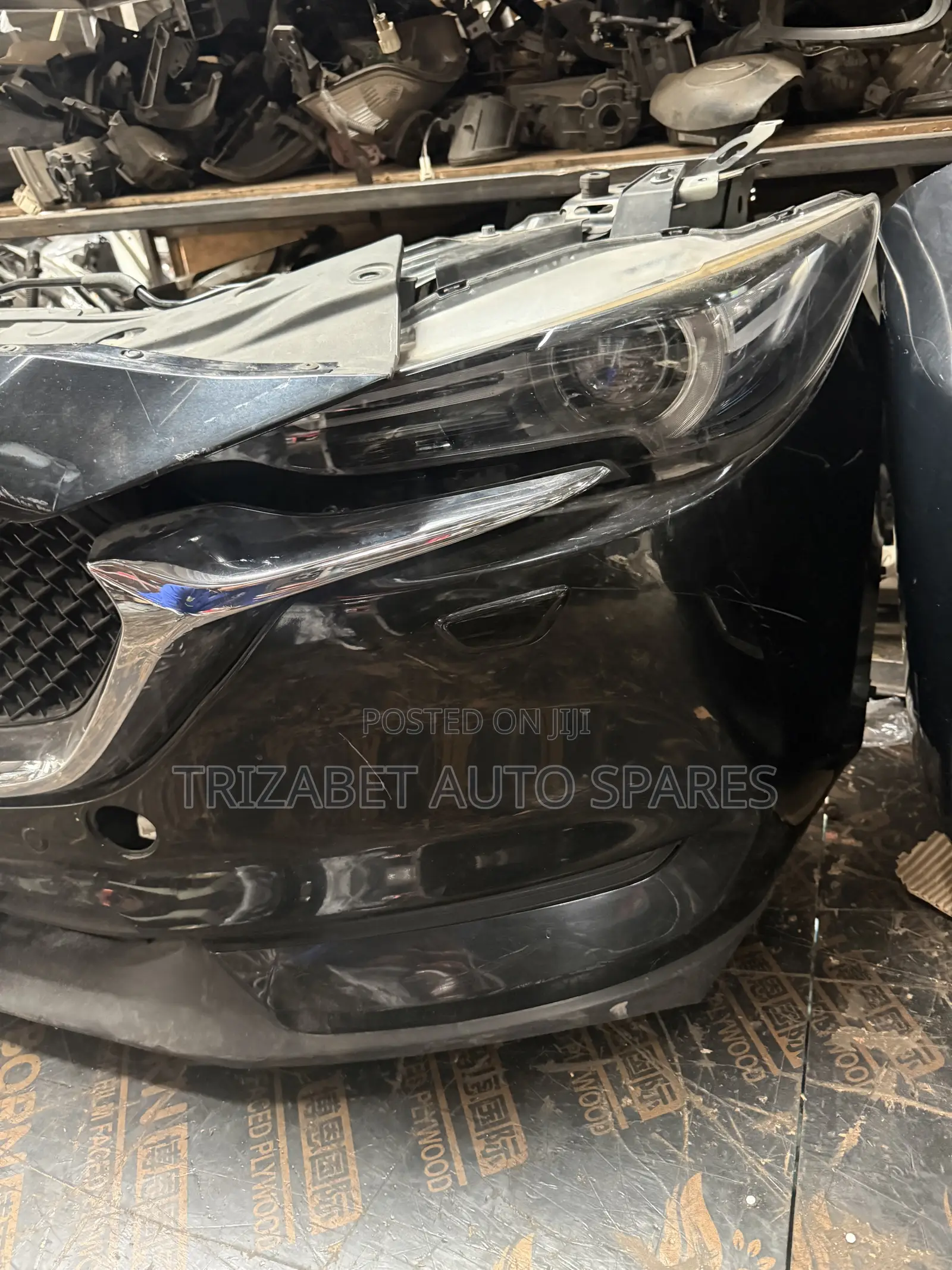 CX5 Nose Cut