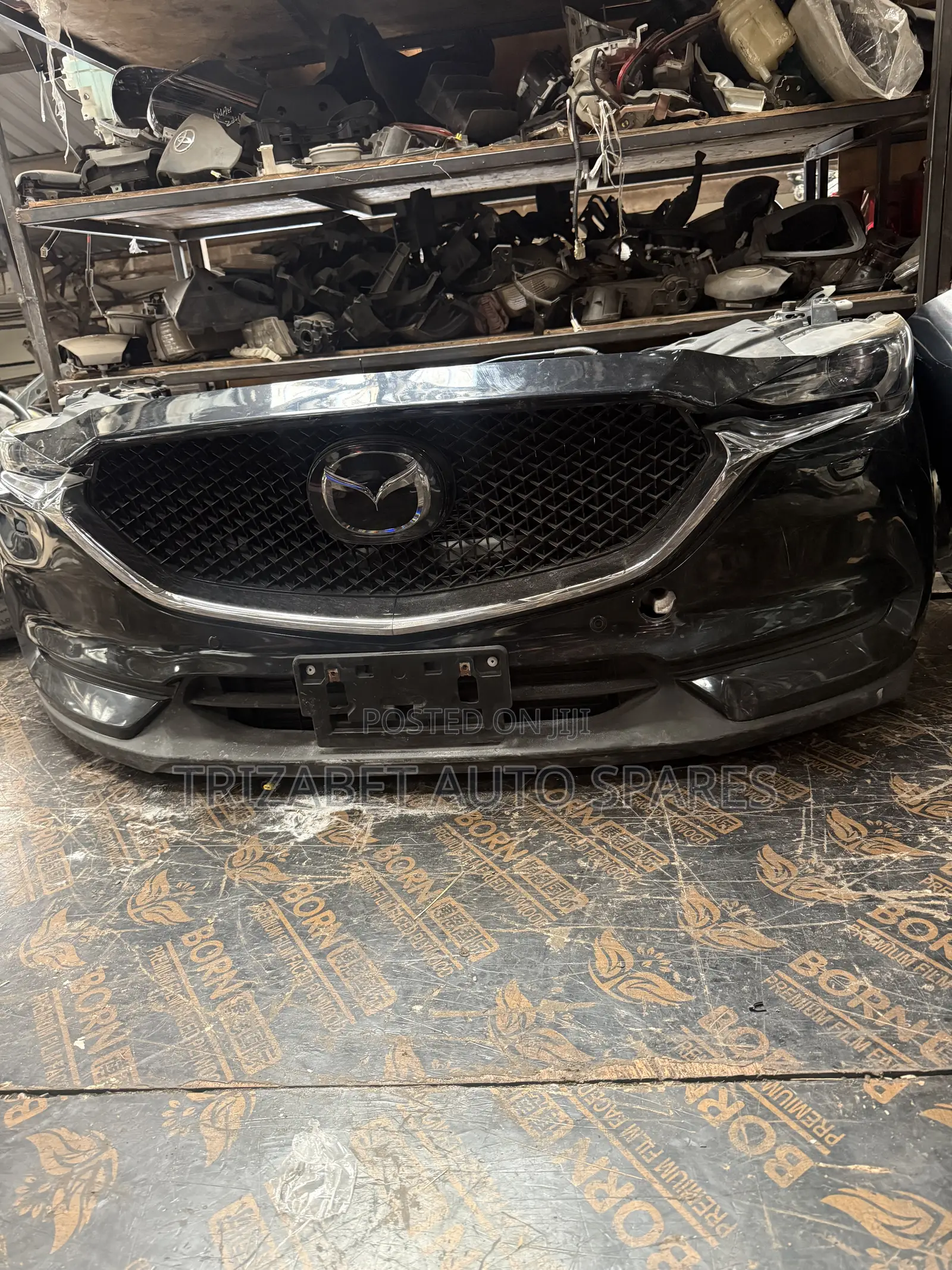 CX5 Nose Cut