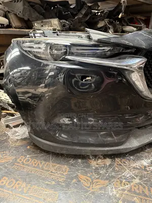 CX5 Nose Cut
