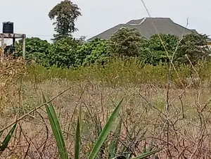 Plots at Mukusu Shopping Centre,kamukuji Masinga Subcounty