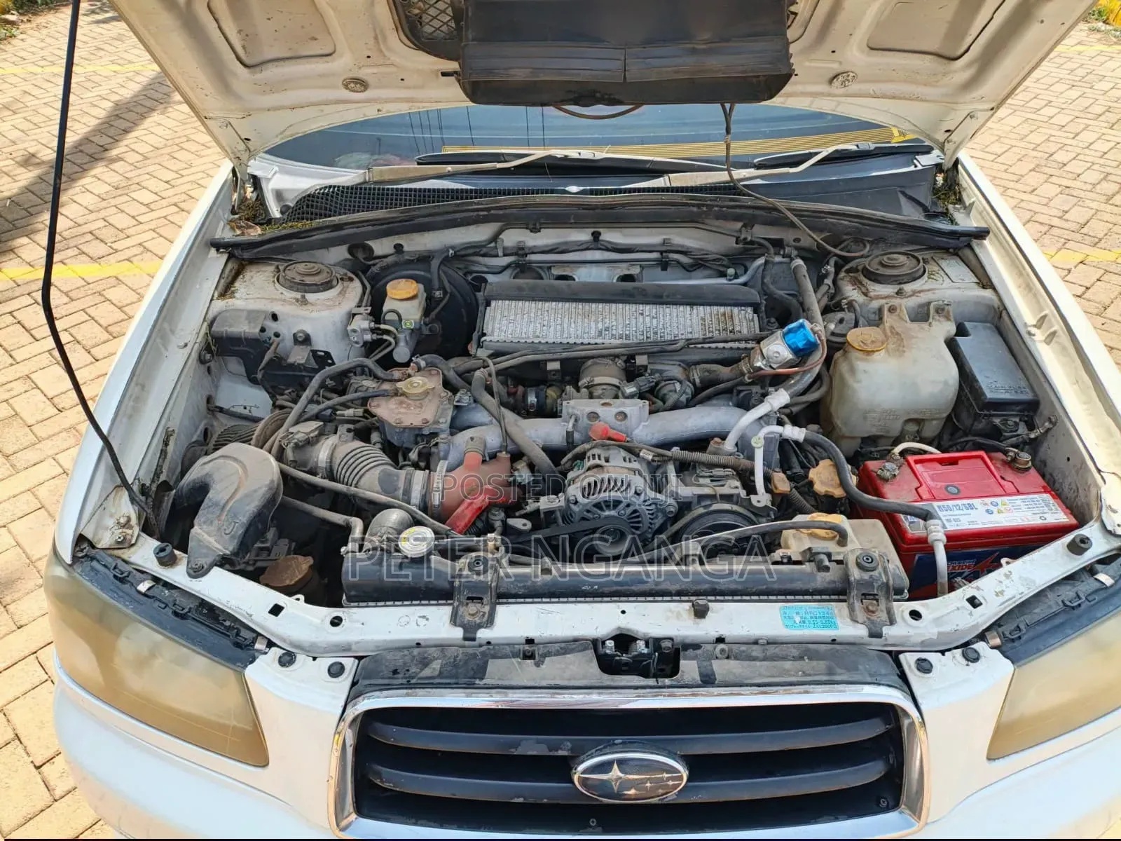 Subaru Forester 2005 Off white