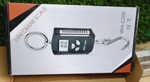 200kg WH-C200 Crane Scale