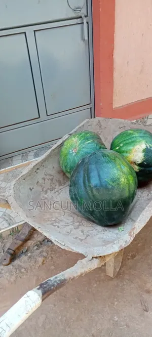Green and Vegetables