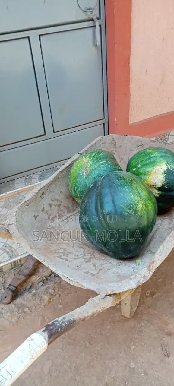 Green and Vegetables