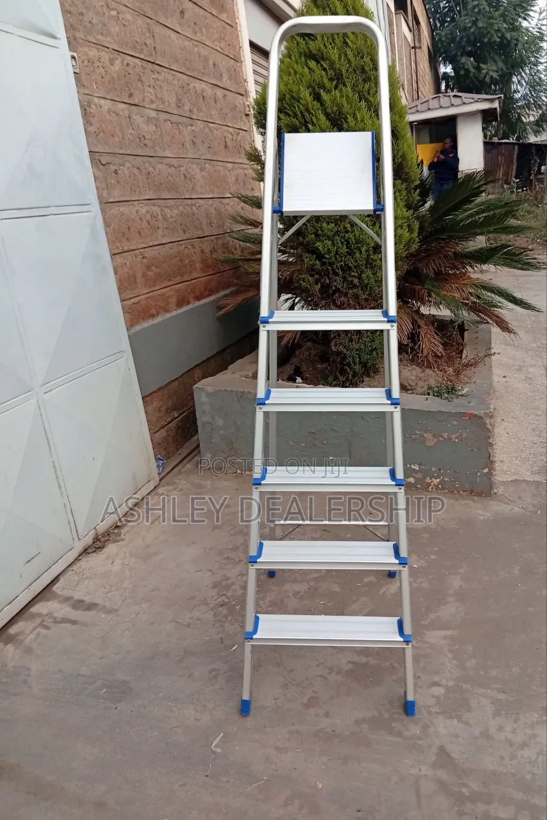 Aluminum 6 Steps Ladder