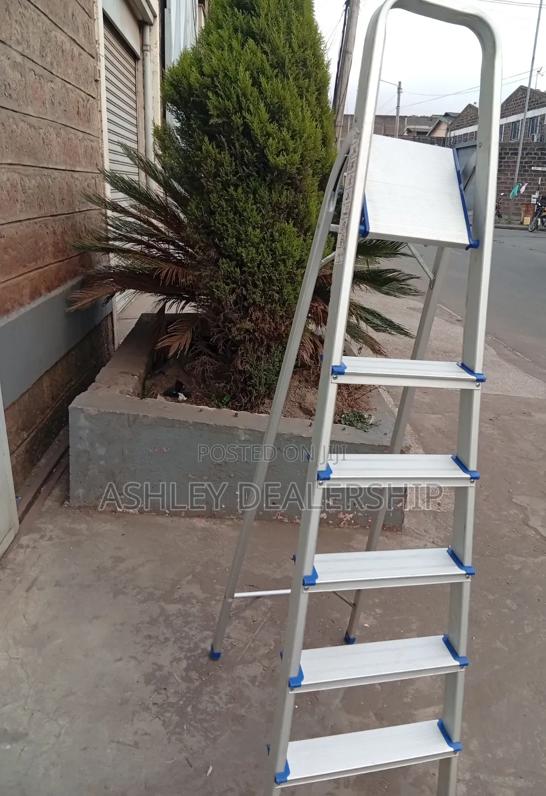 Aluminum 6 Steps Ladder