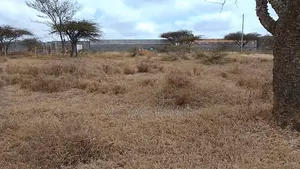 Prime Plots for Sale