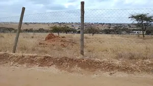 Prime Plots for Sale
