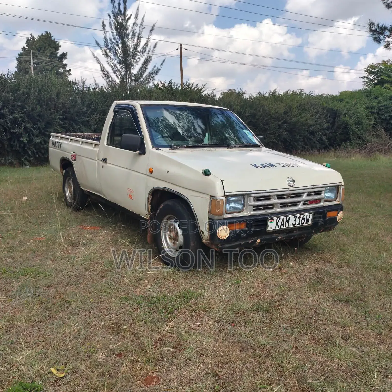 Nissan Pick-Up 2003 White