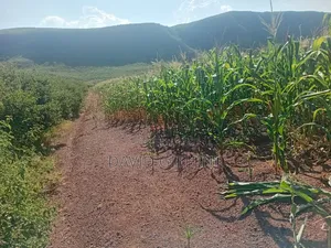 4acres at Solai KFA Nakuru