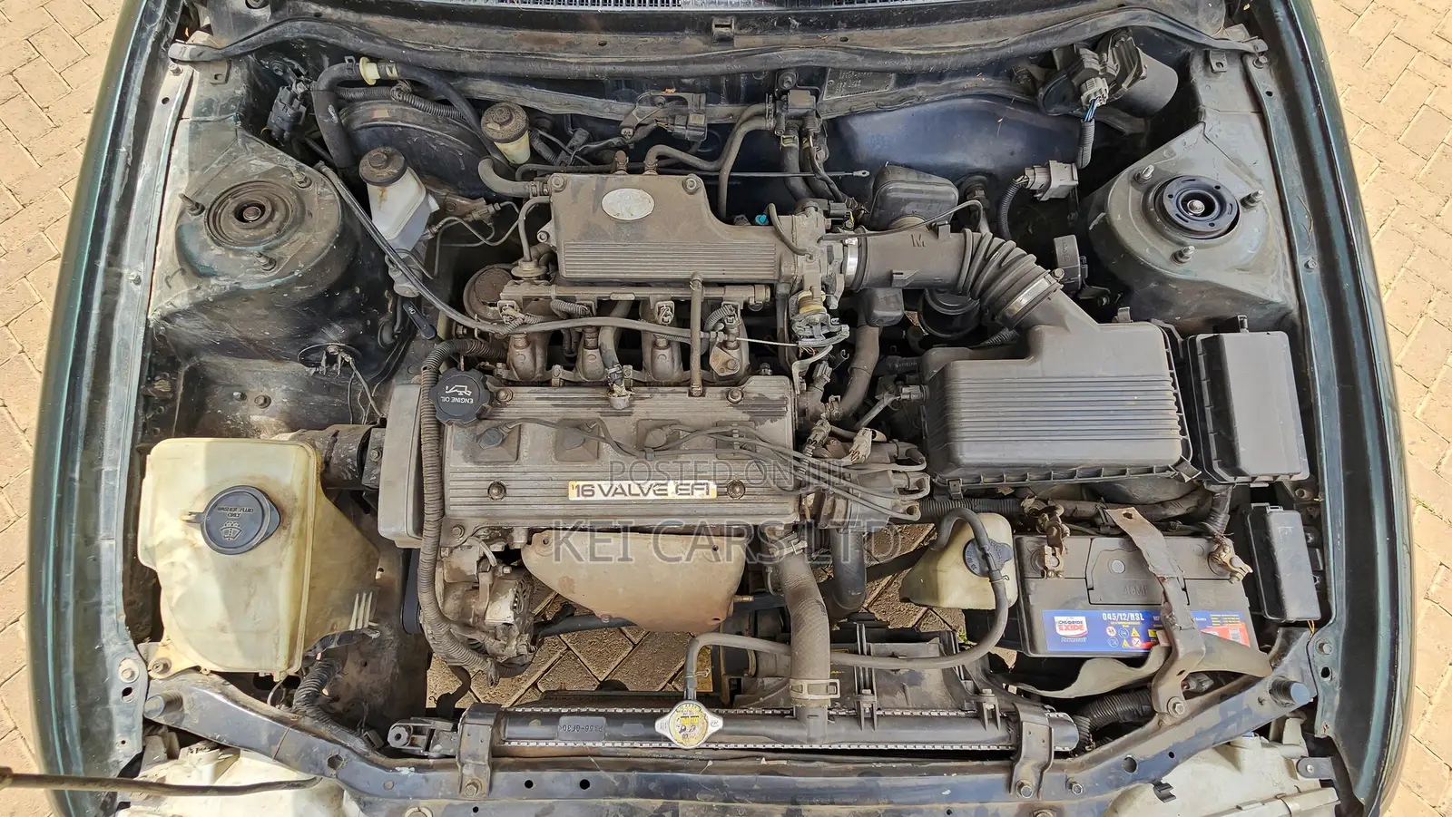 Toyota Corolla Sedan 1994 Green