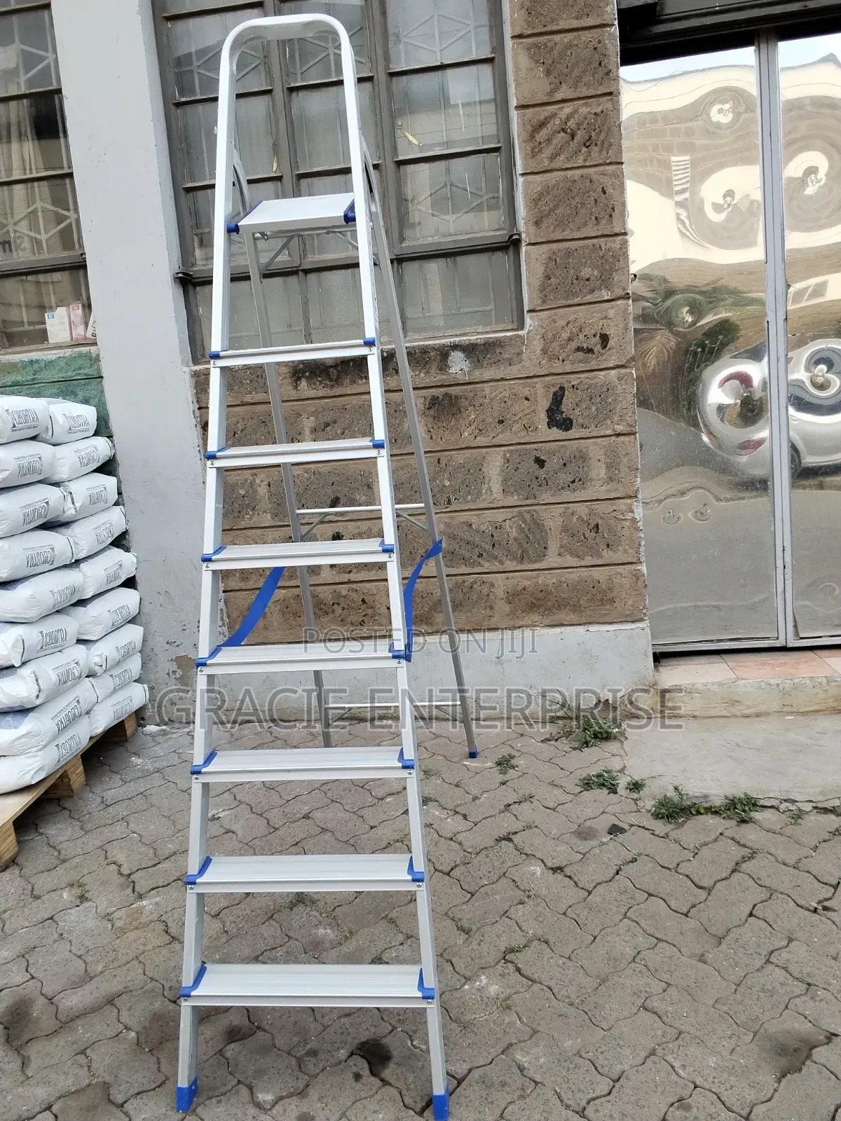 8 Step Household Step Ladder