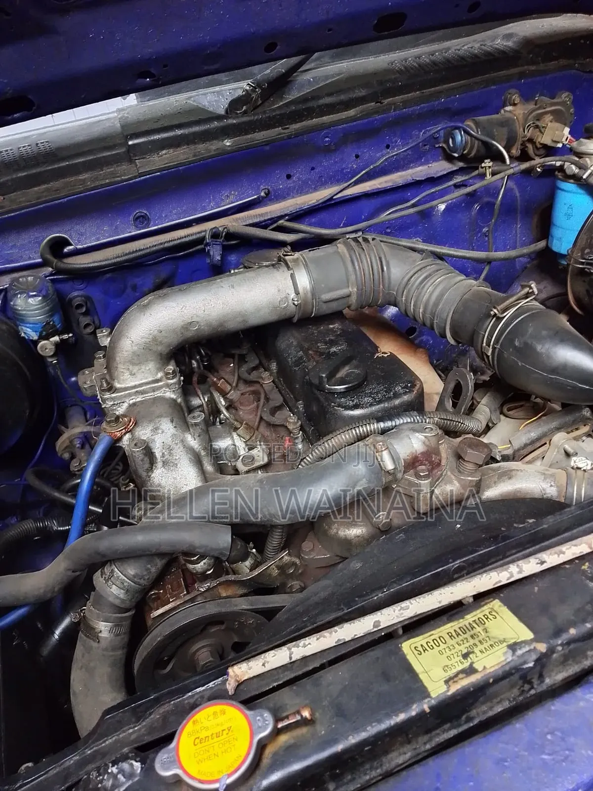 Nissan Hardbody 2003 Blue