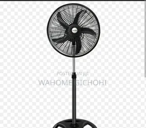 Fan Ailyons