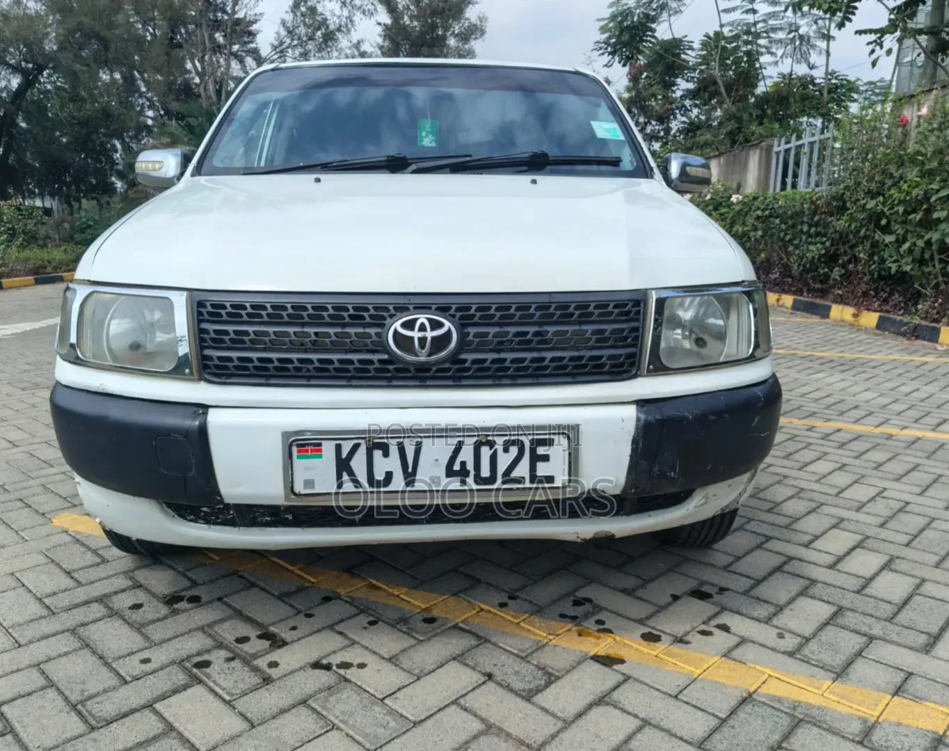 Toyota Probox 2013 White