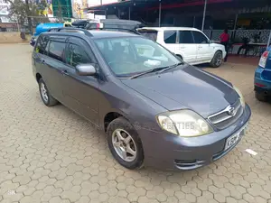 Toyota Corolla Fielder 2005 Gray