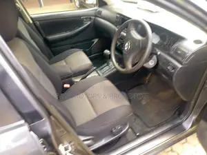Toyota Corolla Fielder 2005 Gray