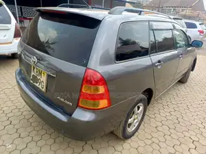 Toyota Corolla Fielder 2005 Gray