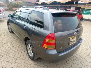Toyota Corolla Fielder 2005 Gray