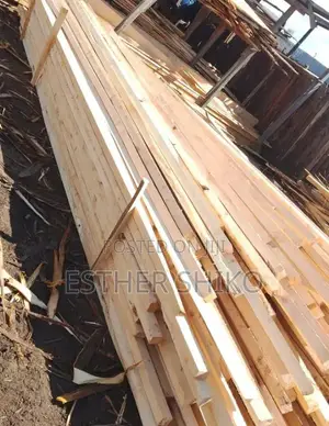 Roofing Timber for Sale