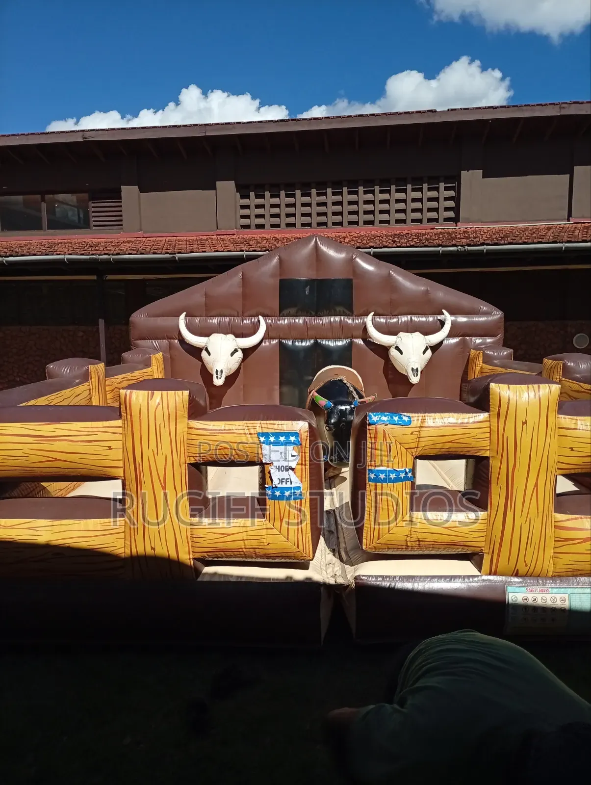 Rodeo Bull for Event Activations