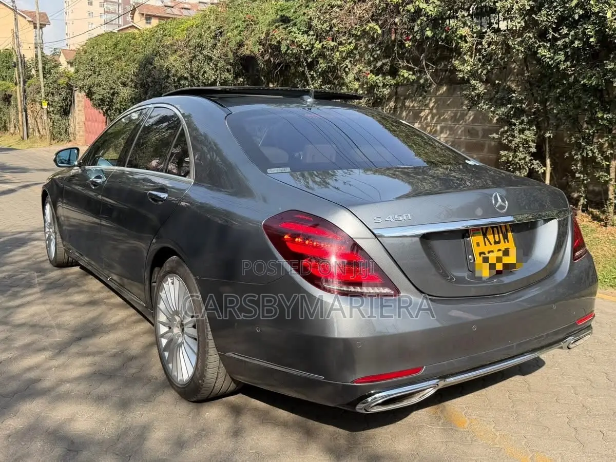 Mercedes-Benz S-Class S 450 4MATIC (W222) 2018 Gray
