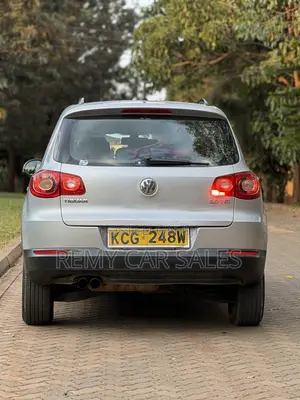 Volkswagen Tiguan 2009 Silver
