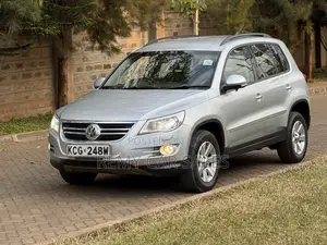 Volkswagen Tiguan 2009 Silver