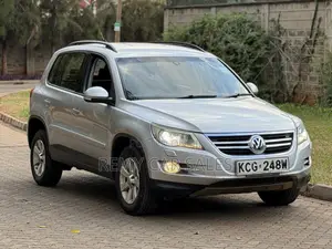 Volkswagen Tiguan 2009 Silver
