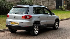 Volkswagen Tiguan 2009 Silver