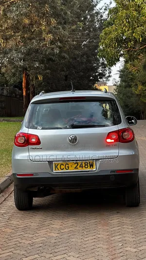 Volkswagen Tiguan 2009 Silver