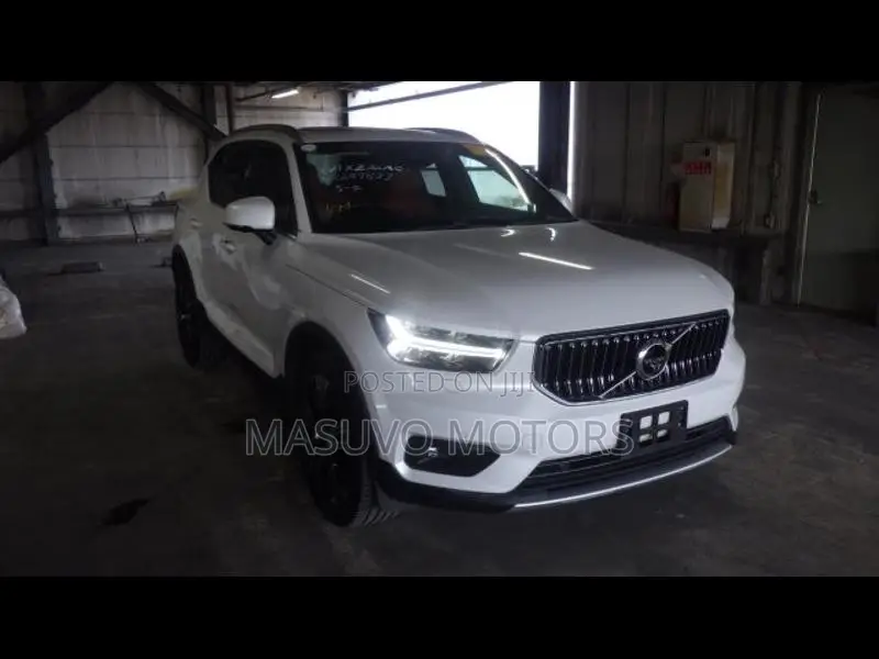 Volvo XC40 2019 Pearl