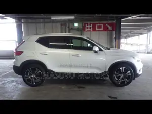 Volvo XC40 2019 Pearl
