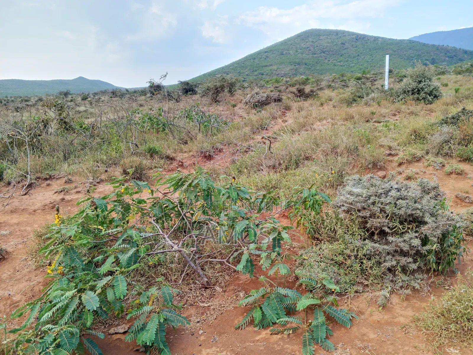 6.5 Acres Block on Sale Ndeiya Nguirubi Karera.