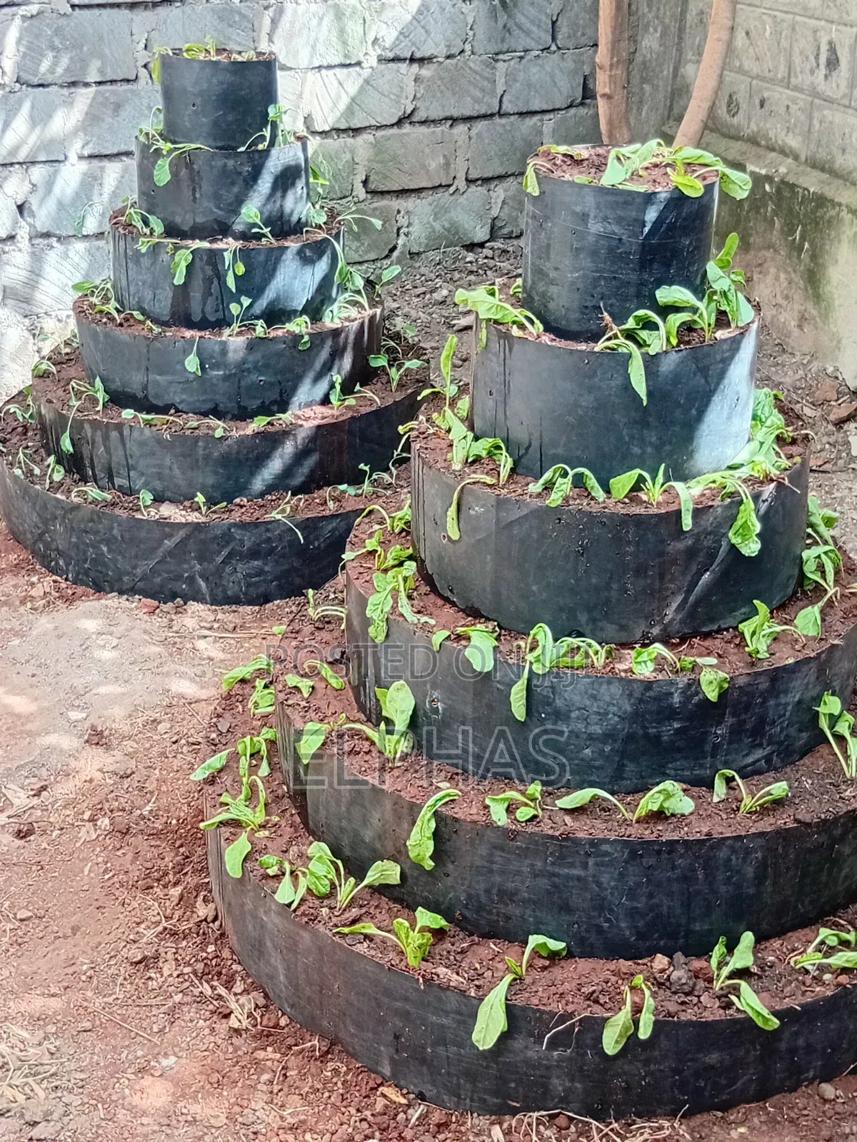 Vertical Garden